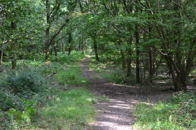 Upper Frenchmoor Copse, Test Valley - area information, map, walks and more