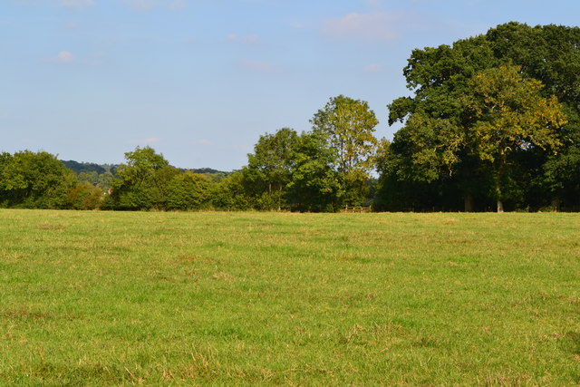 Footpath across corner of field 