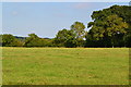 Footpath across corner of field