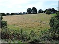 Field divided into quadrants, off Pilling Lane, Scissett