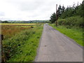 Carrickacullion Road running along side Carrickacullion Forest