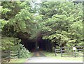 Farm entrance drive at Carrickacullion Woods