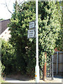 TL7205 : Roadsign on the B1009 Baddow Road by Geographer