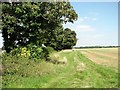 Track into fields by Hollylodge Farm