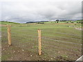 New fencing on tracts of reclaimed land at Knockmor Farm