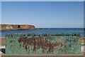 Widows and Bairns statue, Eyemouth