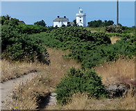 TG2341 : Cromer Lighthouse by Mat Fascione