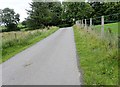 View East along Macullagh Road