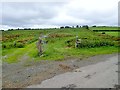 Field access lanes on the east side of Carrickacullion Road