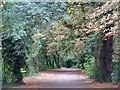 Path by the River Thames opposite Church Island