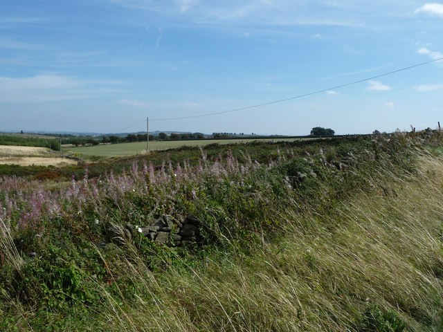 The route of Broadstone Dike