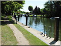 The Thames Path National Trail near Bray Lock