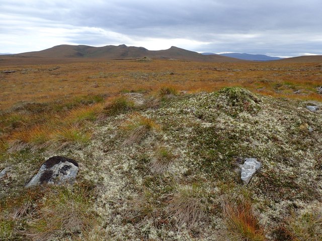 Strange Mossy Mounds NW of Caol-loch Beag