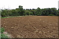 Footpath over the ploughed field to Green Lane