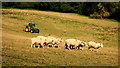 Mowing the weeds near Llangarron Court