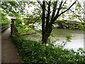 The Thames Path National Trail near the M25 crossing