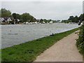 The Thames Path National Trail near Walton-on-Thames