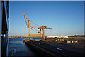 Crane at Harwich International Port