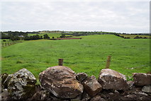 H3374 : Dry stone wall, Carony by Kenneth  Allen