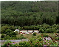 Houses in a valley at the edge of woods, Nantymoel