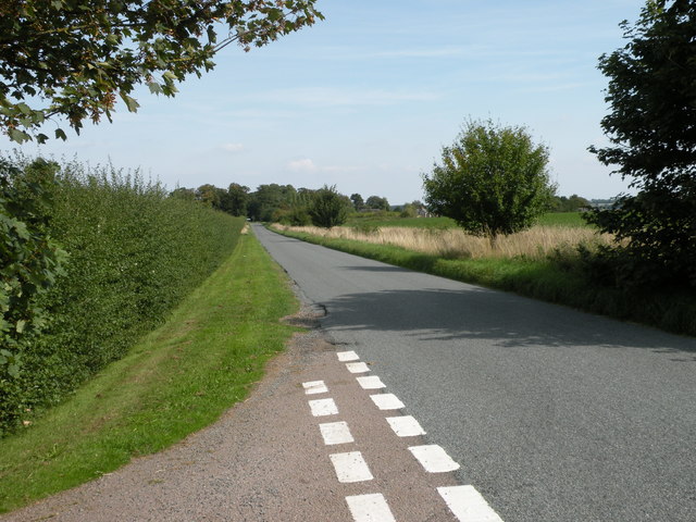 Road from Woodditton to Ashley
