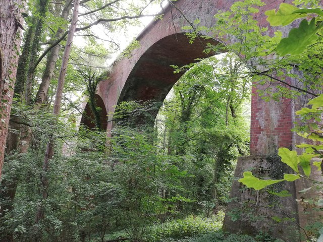 Viaduct over Fogoes Burn