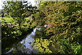 River Wylyle near Bishopstrow