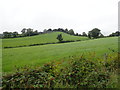 View north-westwards towards Cooey Hill