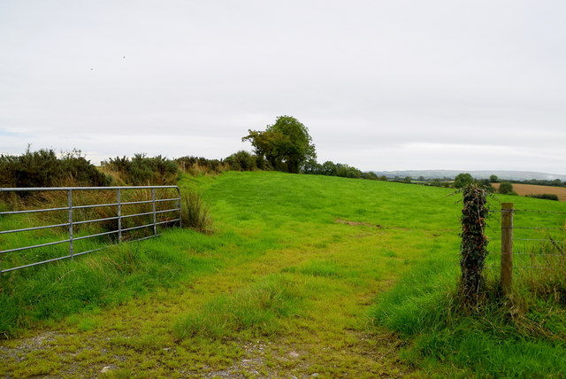 An open field, Killinure