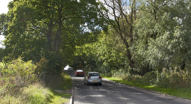 The hill on Fairfield Road
