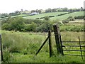 The marshy upper Camly valley viewed from Lough Road