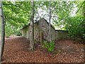 Teaninich Walled Garden