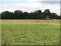 Field south of Moor Farm