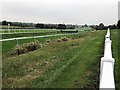 SK6100 : Leicester Racecourse - A view along the home straight by Richard Humphrey