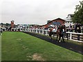SK6101 : Leicester Racecourse - Sexy Secret in the parade ring by Richard Humphrey
