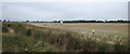 A field near Grantham