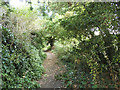 Footpath below Primrose Lane