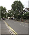 Tree-lined Ashcombe Road, Weston-super-Mare