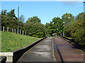 Foot and cycleway ramp