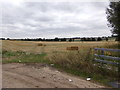 Farmland off the A1124 Colchester Road