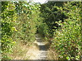 Path by the Staines Reservoirs Aqueduct north of the Church Lammas Lakes