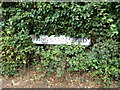TL9028 : Spring Gardens Road sign by Geographer