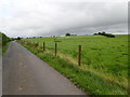 Grass on improved land between Macullagh and Blackbridge Roads