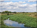 TQ0372 : The River Colne on Staines Moor by Mike Quinn
