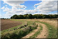 Farm Track and Brakey Wood