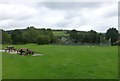 Lanchester Cricket Club