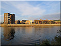 Trent Basin building work