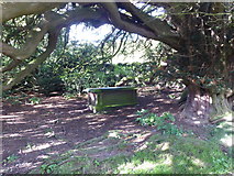 NY4318 : Under the ancient yew tree in St Martin's Churchyard, Martindale by Marathon