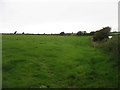 Farmland at Lleine