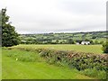 Grazing land in Tullynavall Townland